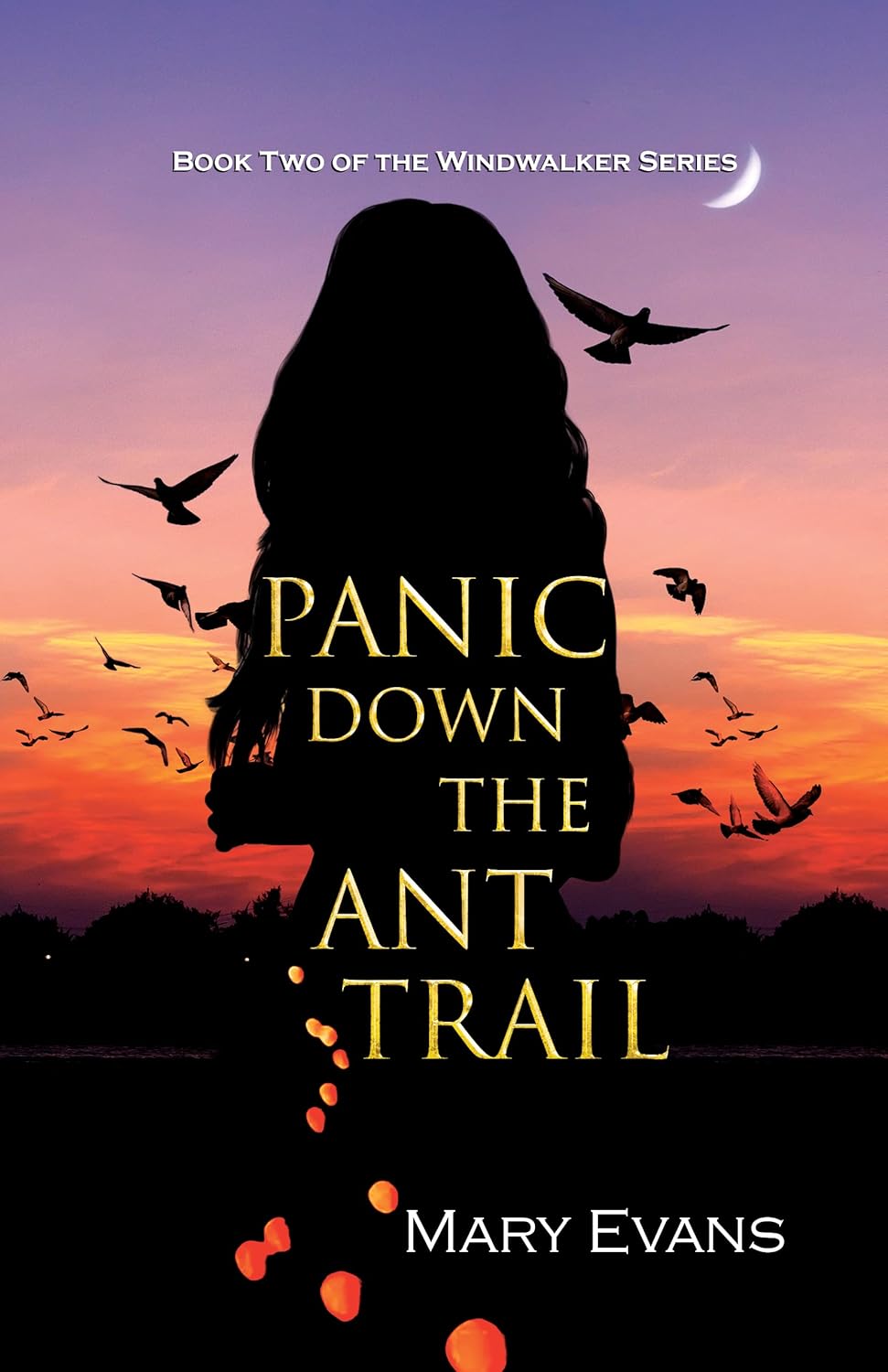 Panic Down the Ant Trail (Windwalker Book 2) poster