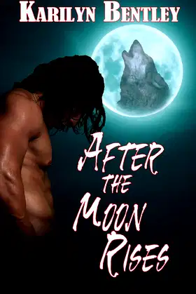 After the Moon Rises poster