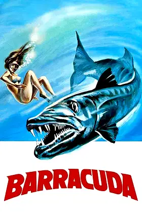 Barracuda poster