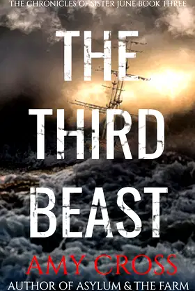 The Third Beast (The Chronicles of Sister June Book 3) poster