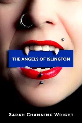 The Angels of Islington poster