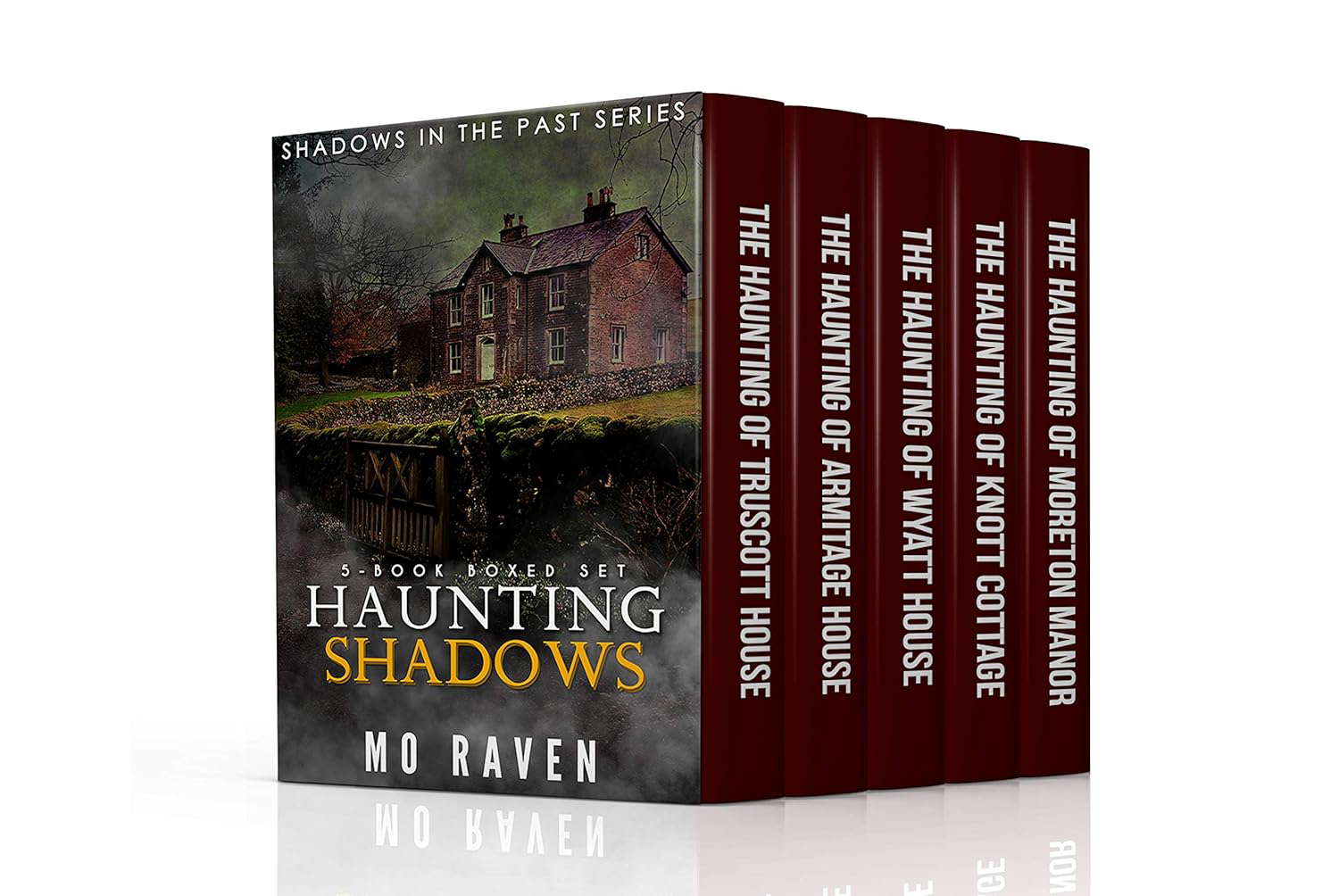 Haunting Shadows (Shadows in the Past) poster