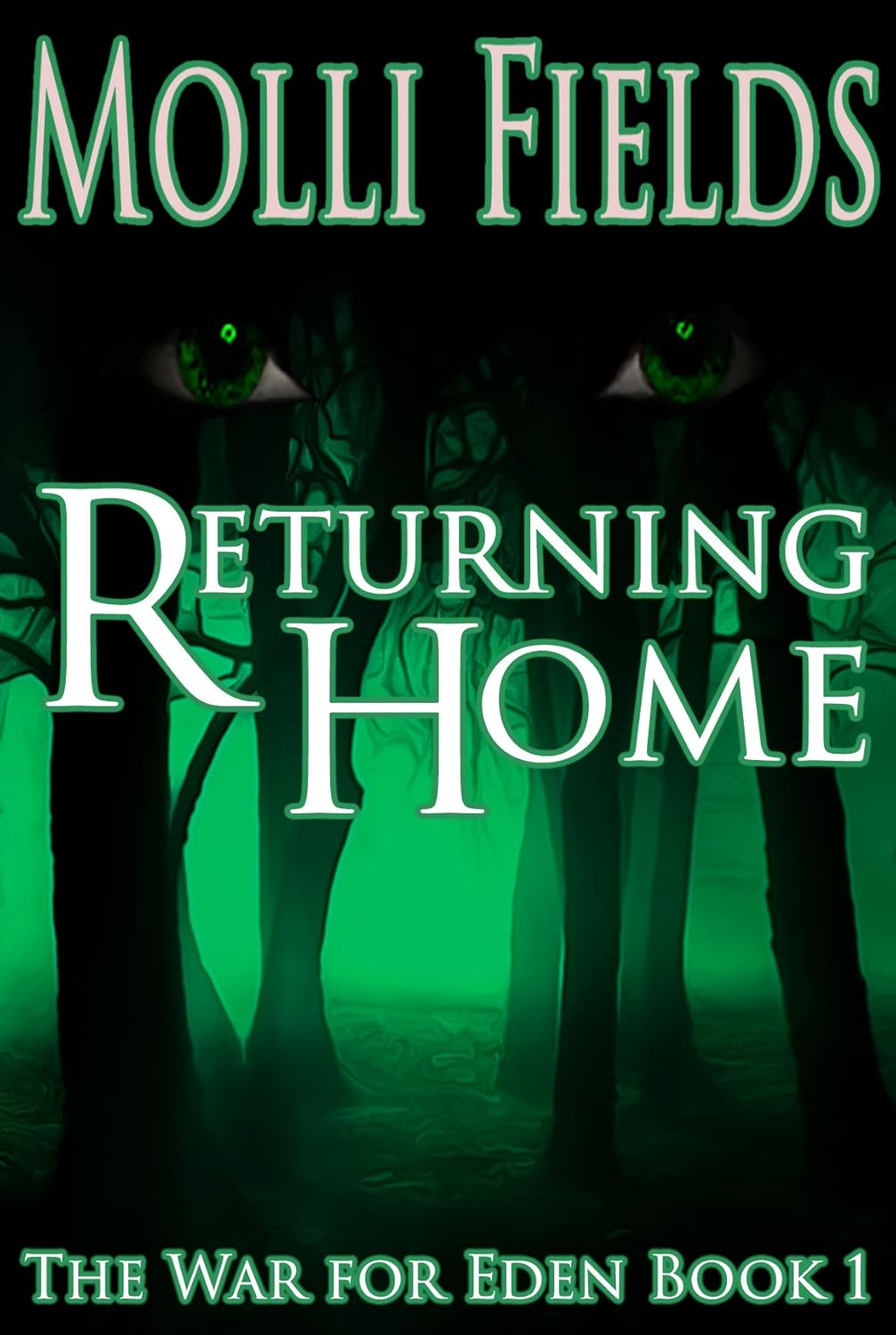 Returning Home (The War for Eden Book 1) poster