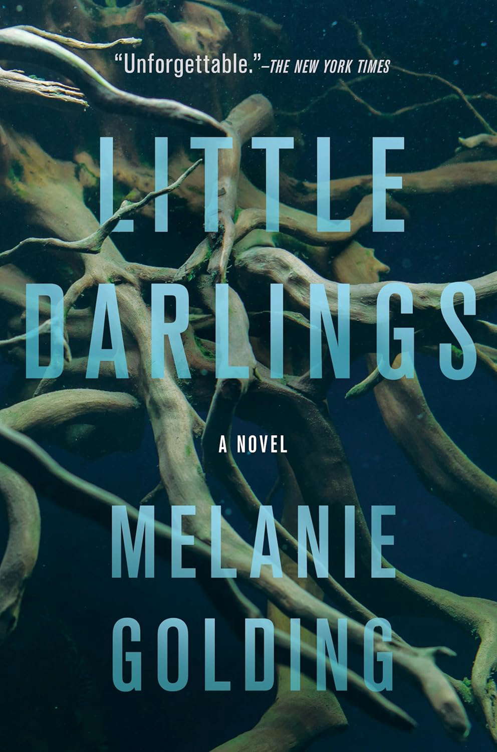 Little Darlings: A Novel poster