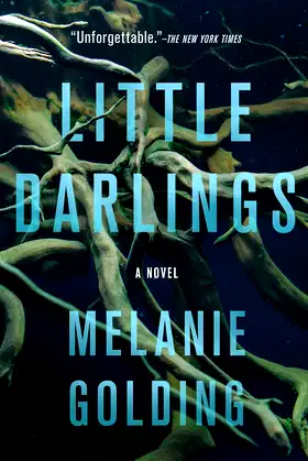 Little Darlings: A Novel poster