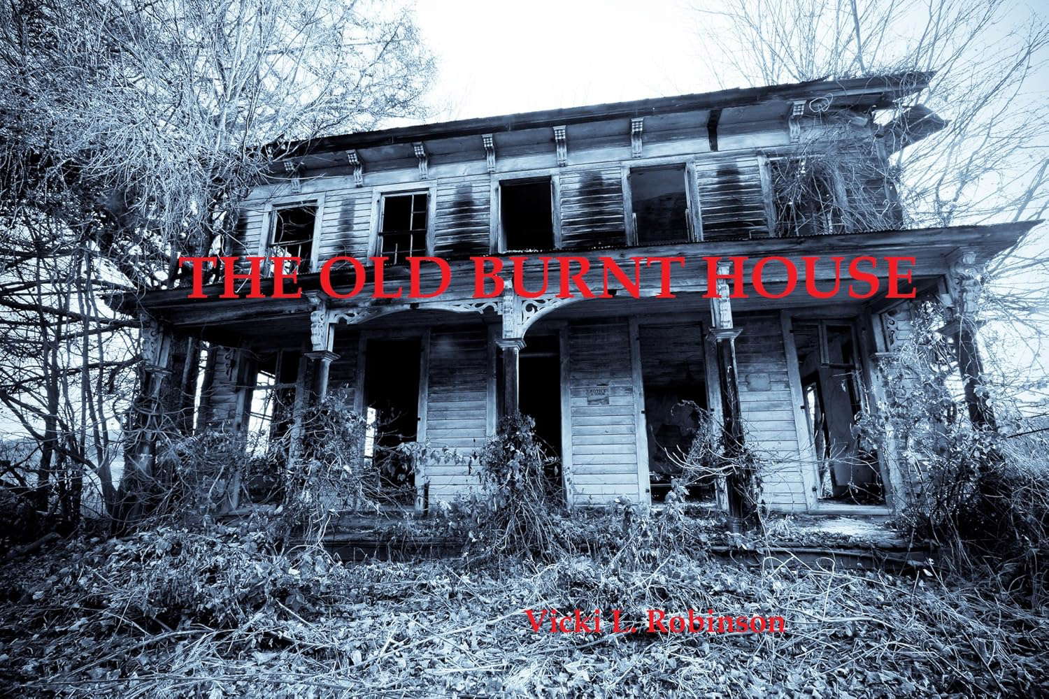 The Old Burnt House poster