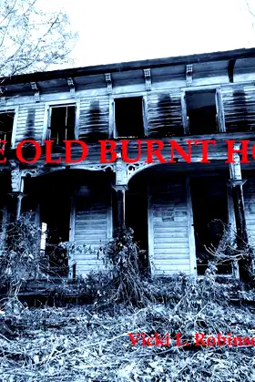 The Old Burnt House poster