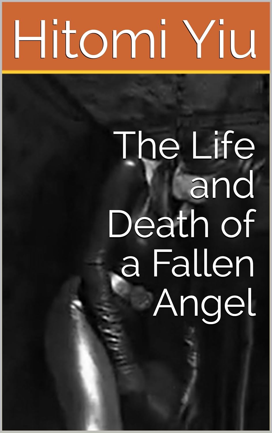 The Life and Death of a Fallen Angel poster