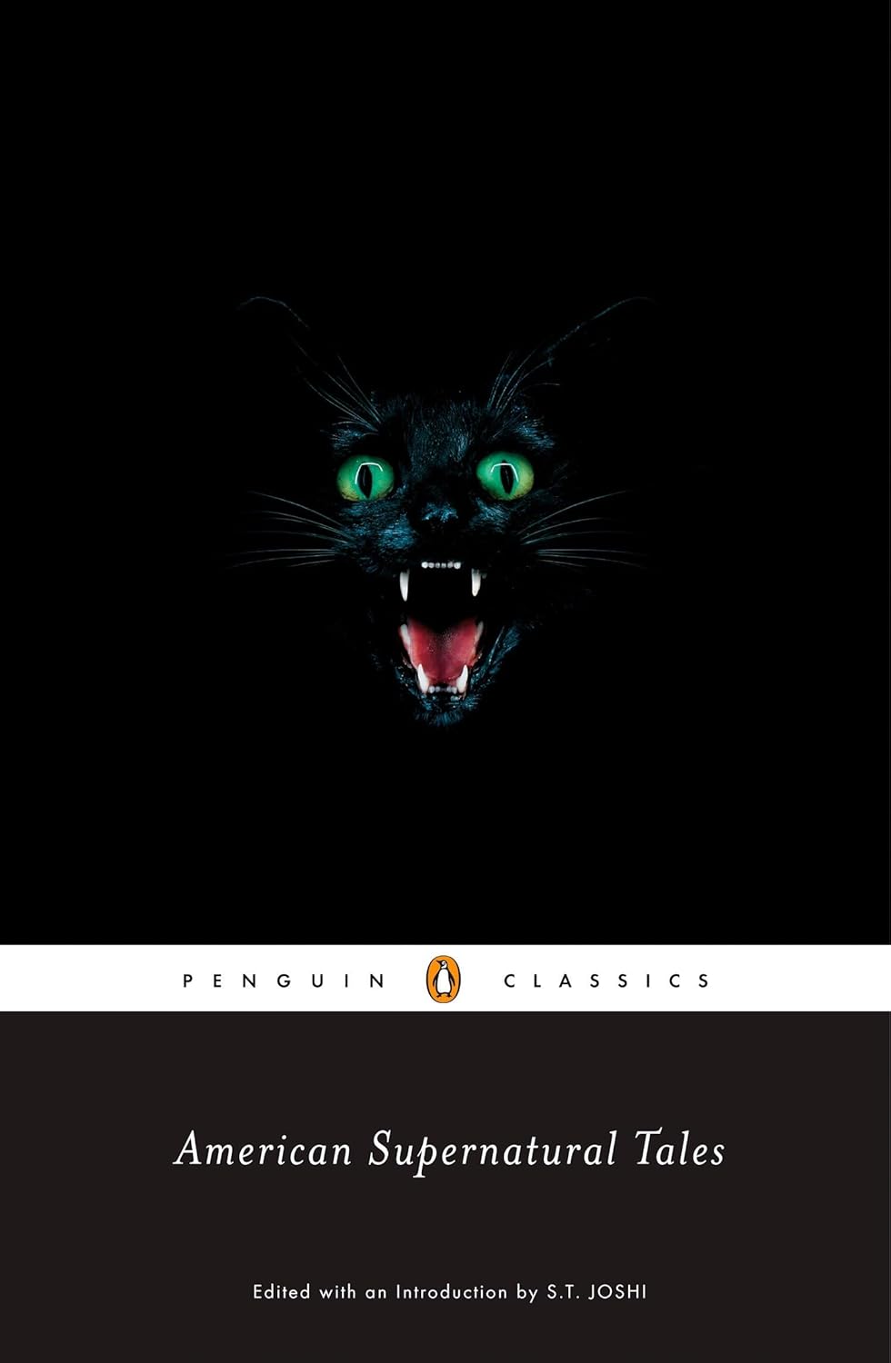 American Supernatural Tales (Penguin Classics) poster