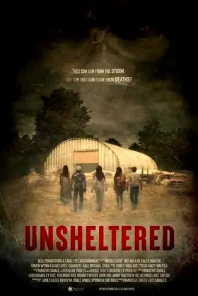Unsheltered poster
