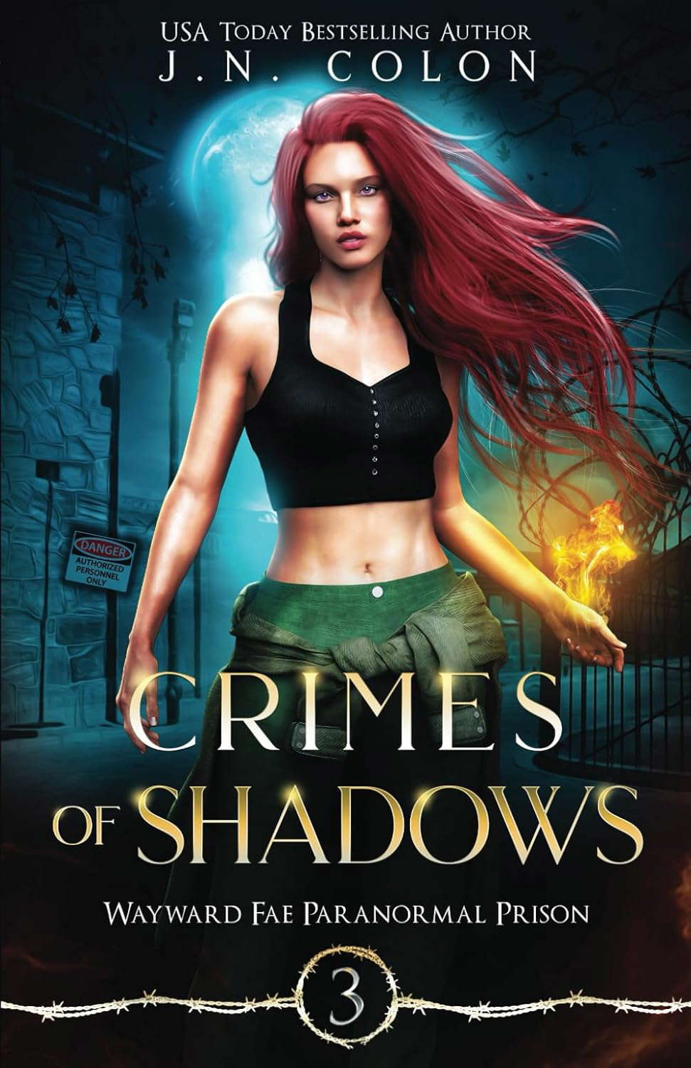Crimes of Shadows (Wayward Fae Paranormal Prison) poster