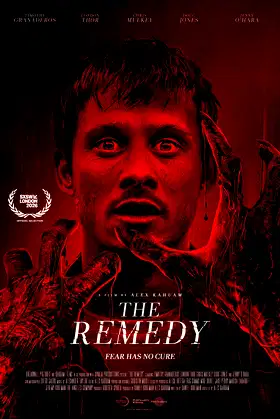 The Remedy poster
