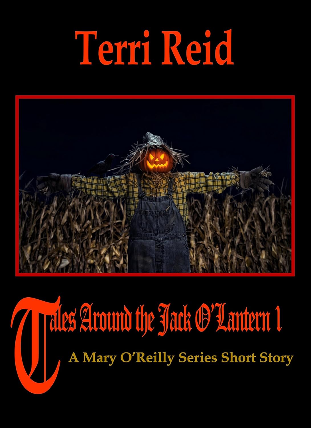 Tales Around the Jack O'Lantern - A Mary O'Reilly Series Short Story poster