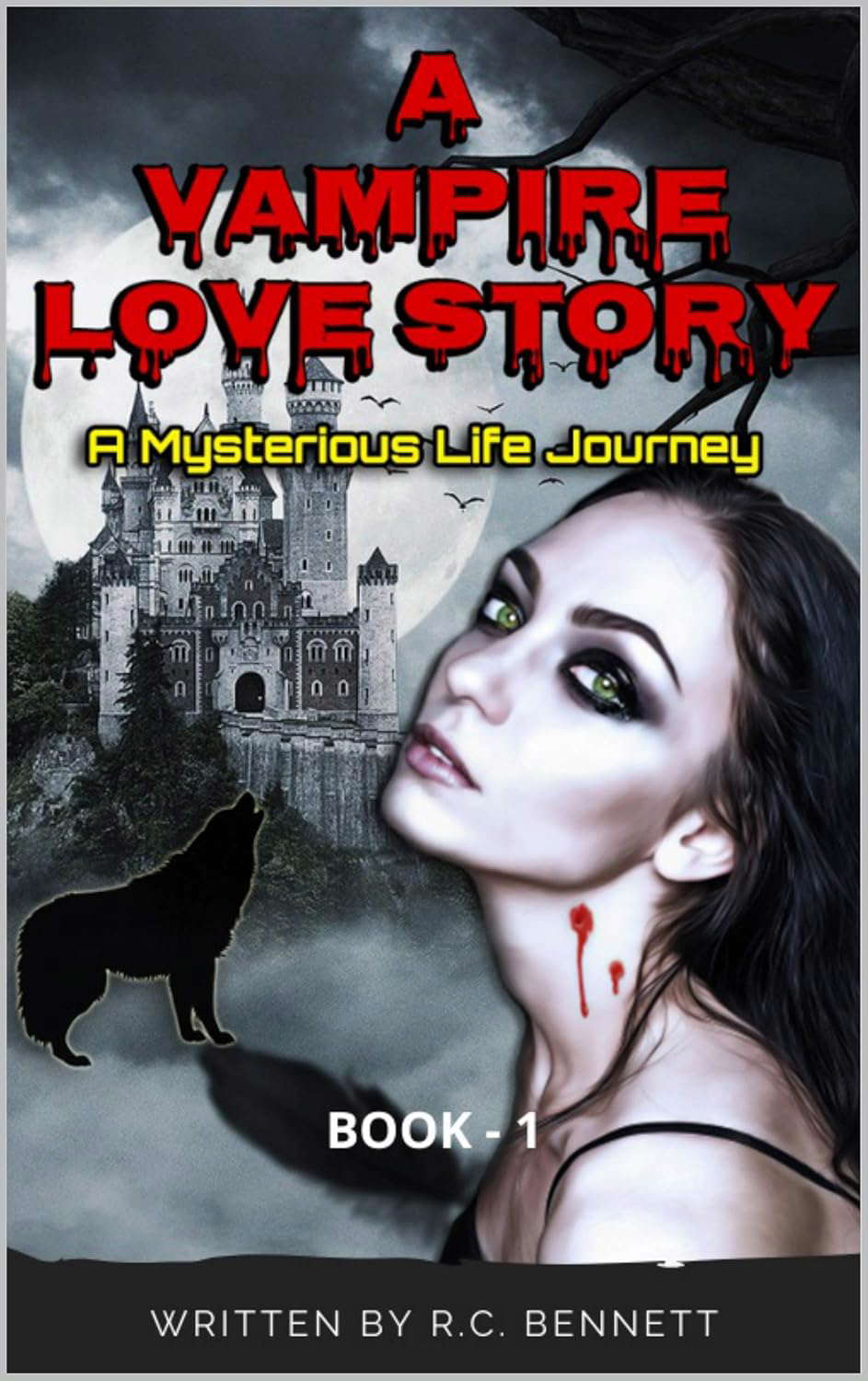 A VAMPIRE LOVE STORY: A Mysterious Life Journey poster