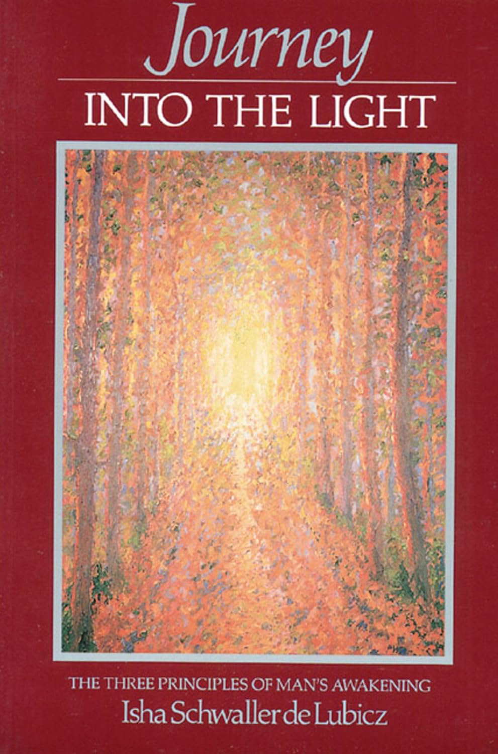 Journey into the Light: The Three Principles of Man's Awakening poster