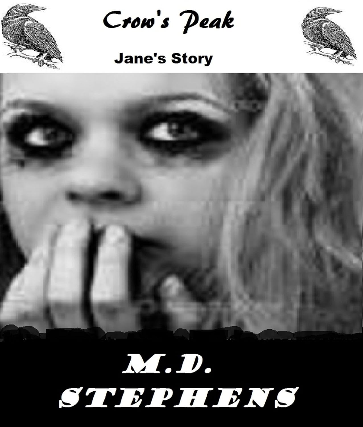 Jane's Story (Crow's Peak Stories) poster
