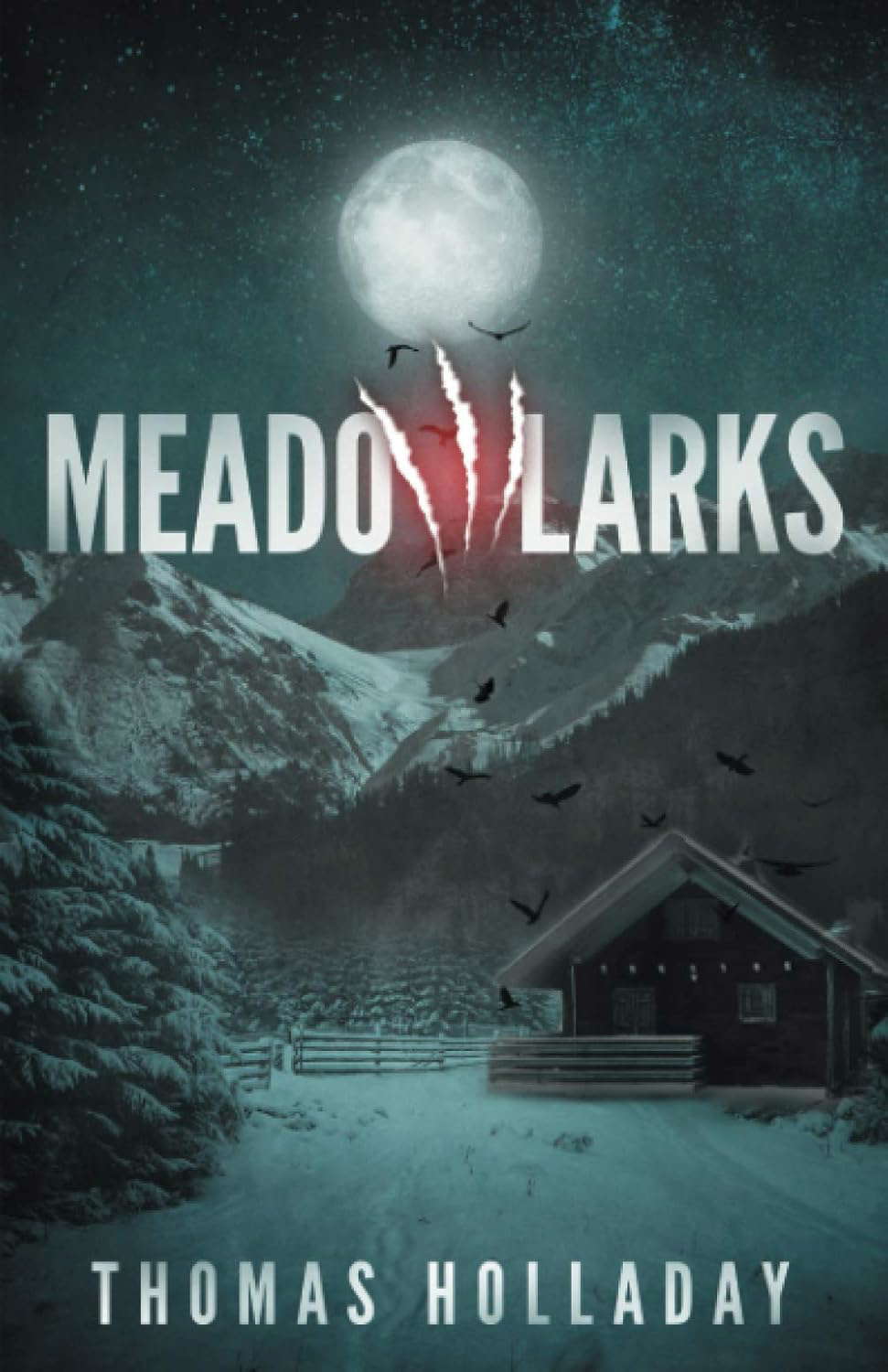 Meadowlarks poster