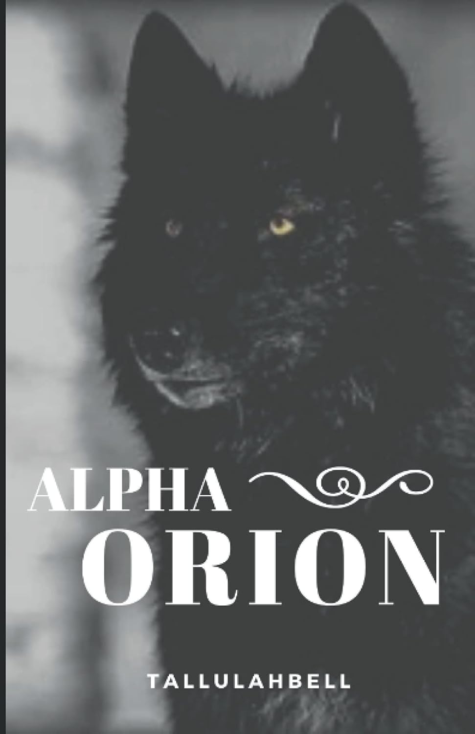 Alpha Orion (The Crown Series) poster
