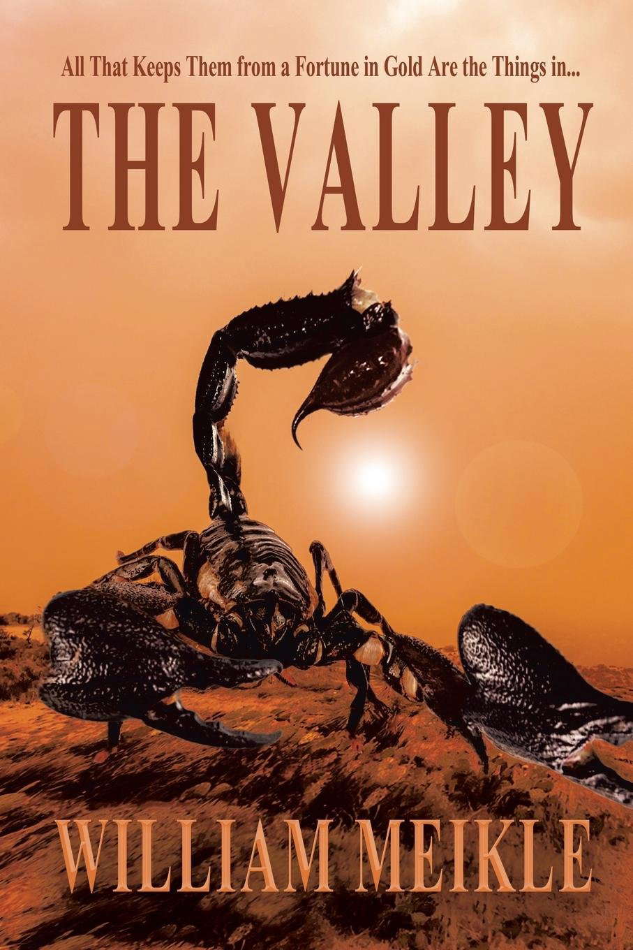 The Valley poster