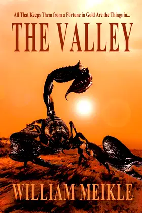 The Valley poster
