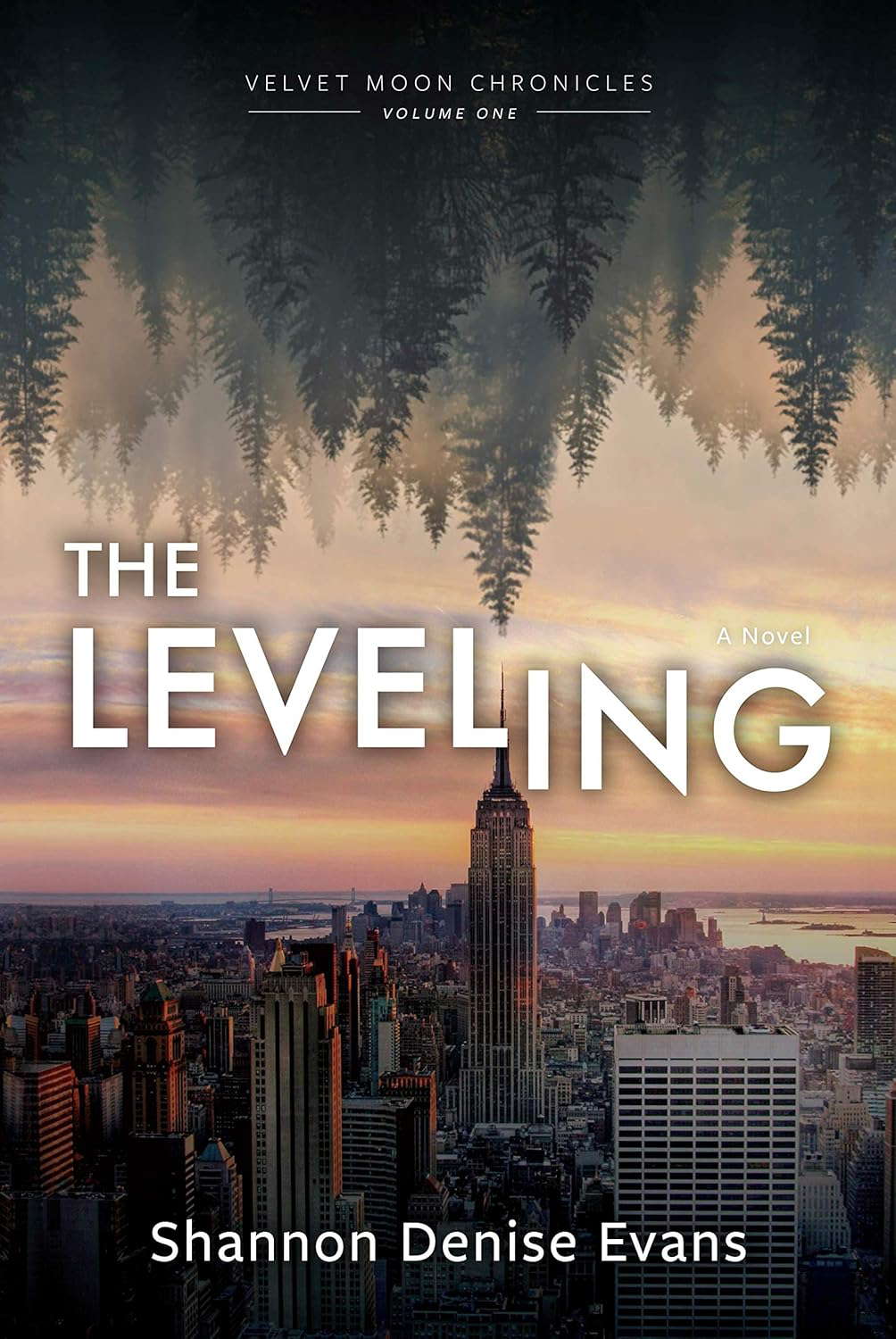 Velvet Moon Chronicles: The Leveling poster