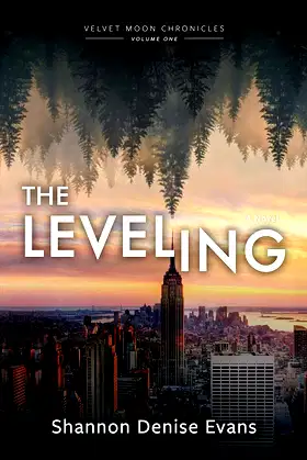Velvet Moon Chronicles: The Leveling poster