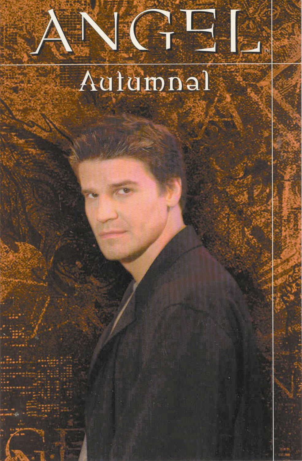 Angel: Autumnal poster