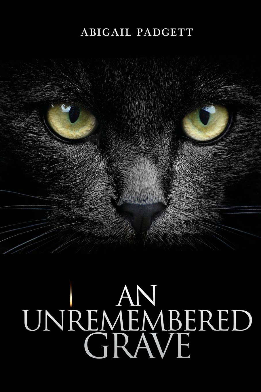 An Unremembered Grave poster
