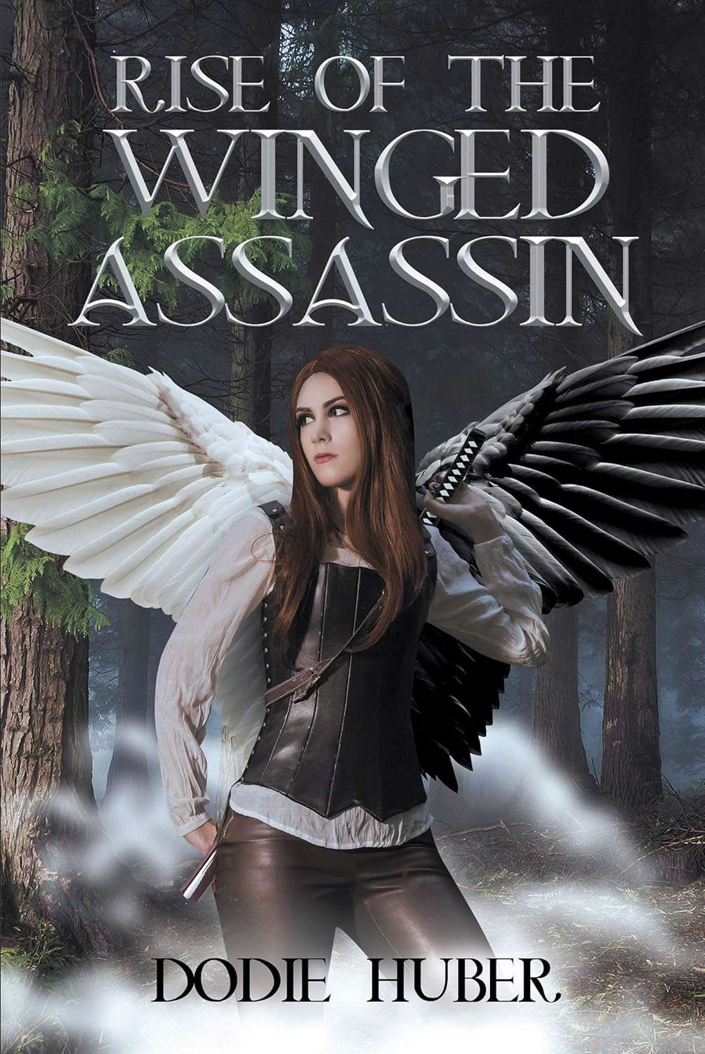 Rise of the Winged Assassin poster