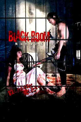 Black Room poster