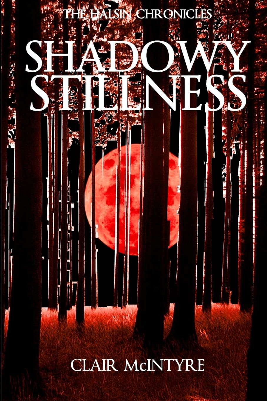 Shadowy Stillness poster