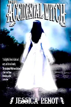 The Accidental Witch poster