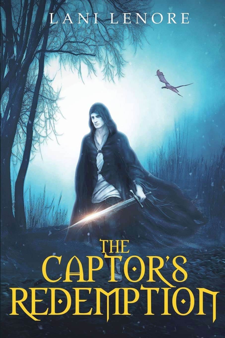 The Captor's Redemption poster
