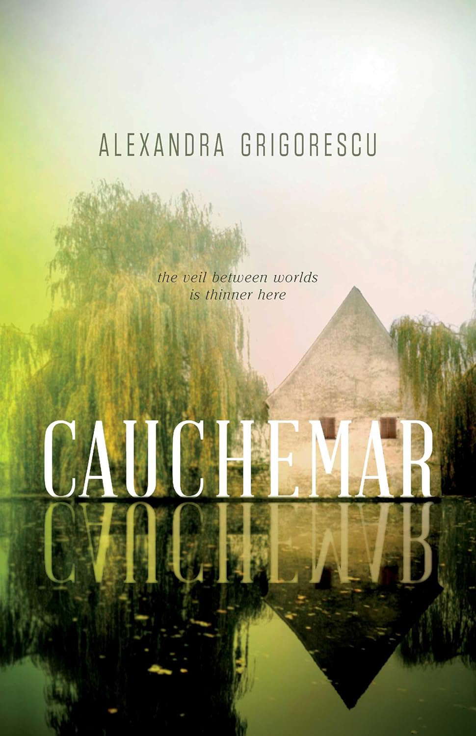 Cauchemar poster