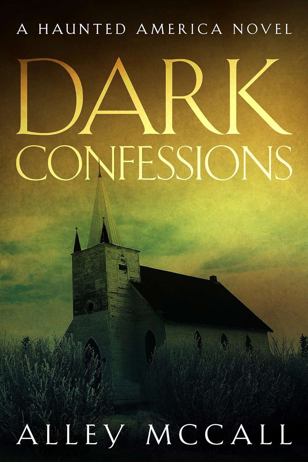 Dark Confessions (Haunted America Book 3) poster