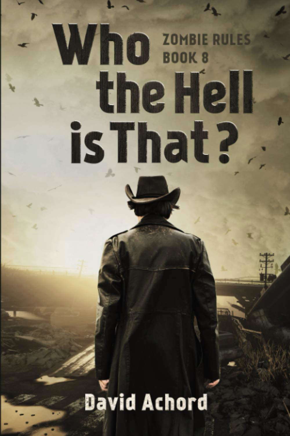 Who the Hell is That? (Zombie Rules) poster