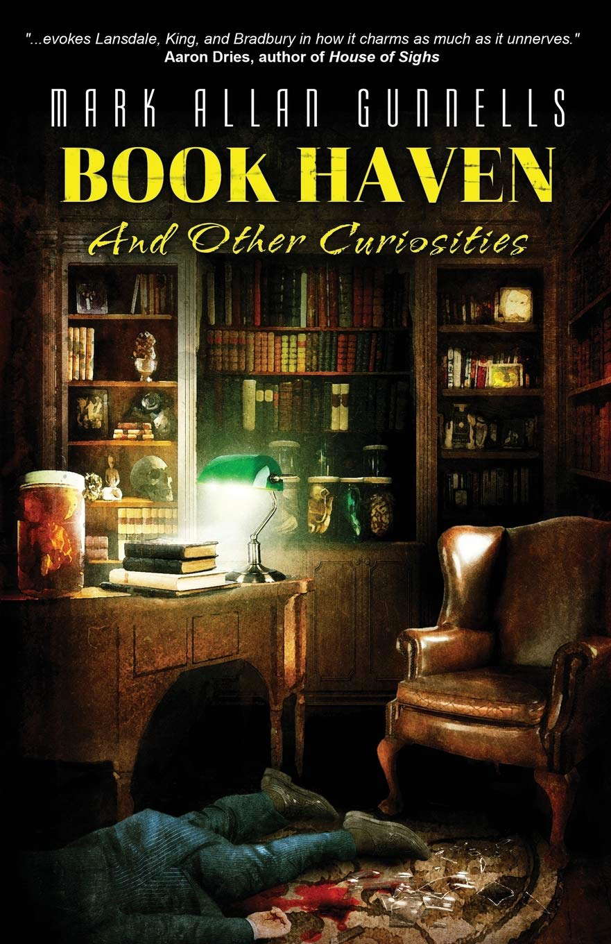 Book Haven: And Other Curiosities poster