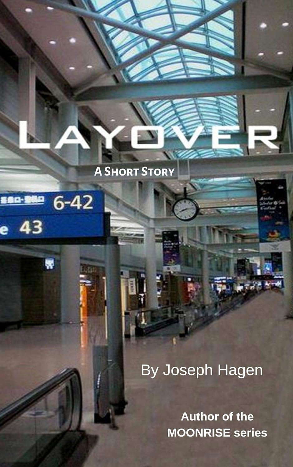 LAYOVER: A Short Story poster