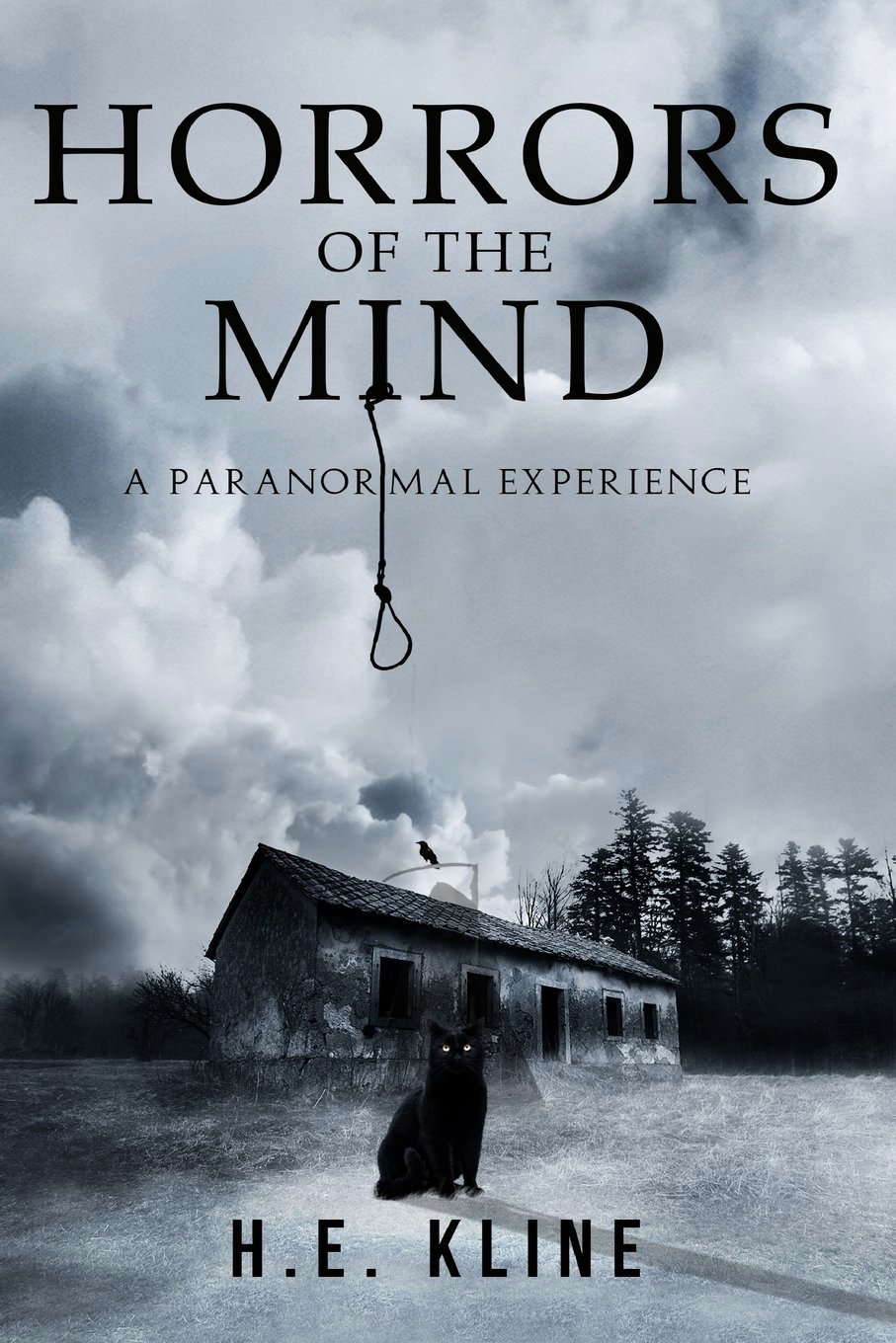 Horrors of the Mind: A Paranormal Experience poster