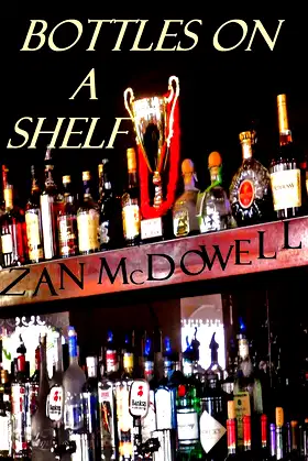 Bottles On A Shelf poster