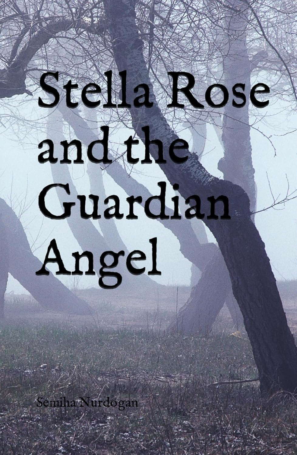 Stella Rose and the Guardian Angel poster