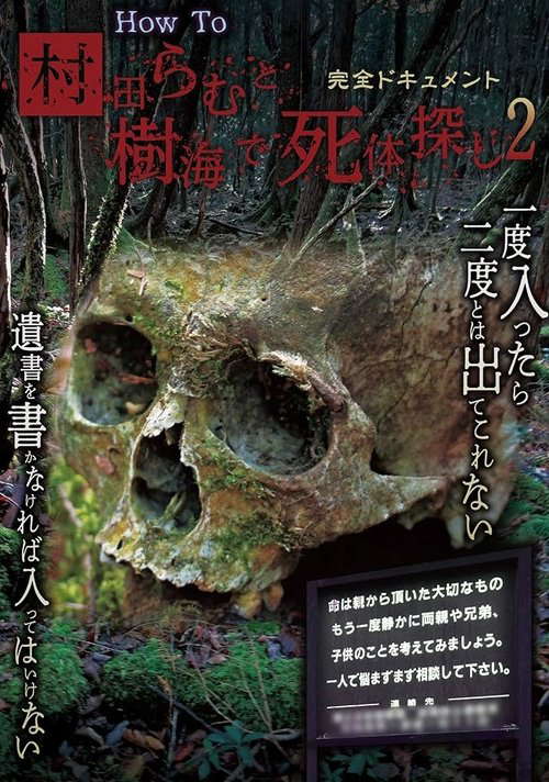Kanzen Document: How To Murata Ramu to Jukai de Shitai Sagashi 2 poster