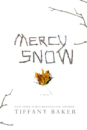 Mercy Snow: A Novel poster