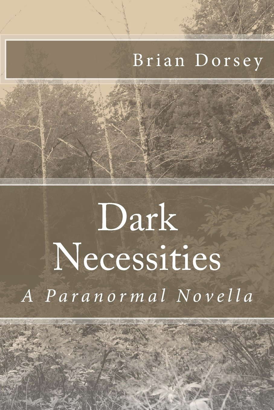 Dark Necessities poster