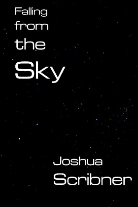 Falling from the Sky poster