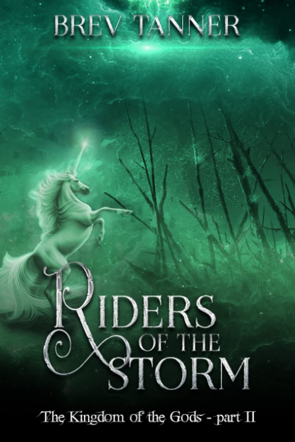 Riders of the Storm poster