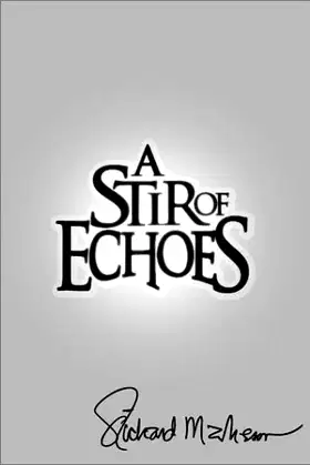 A Stir of Echoes poster