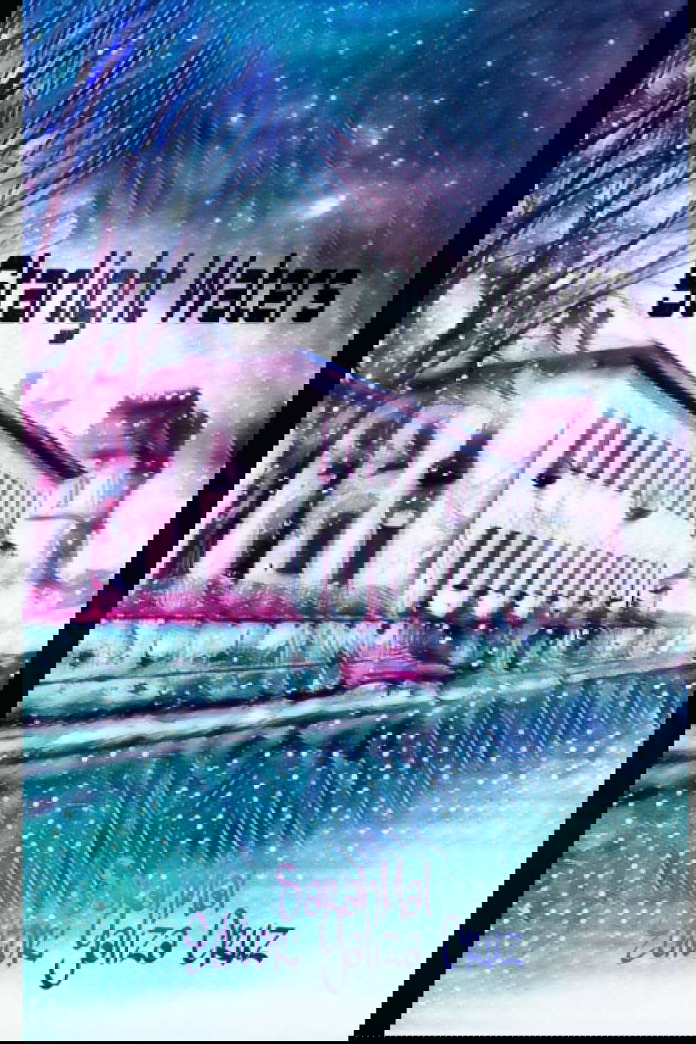 Starlight Waters poster
