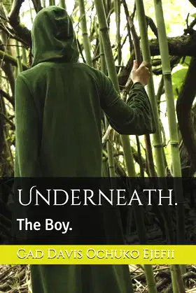 Underneath.: The Boy. poster