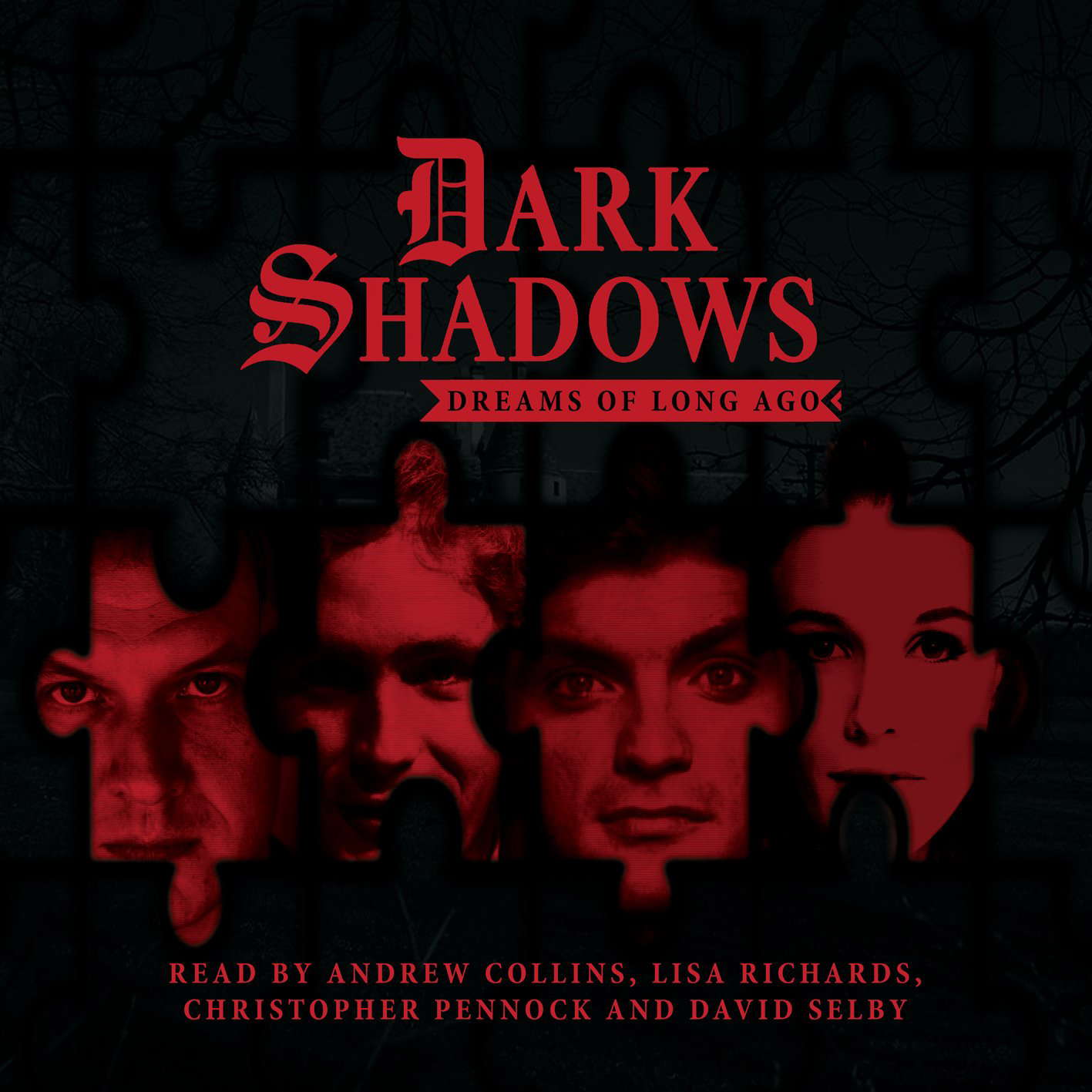 Dark Shadows: Dreams of Long Ago: No. 4 poster